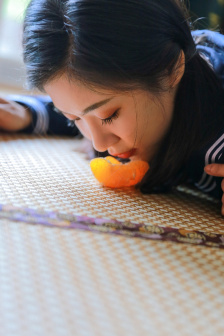 兔子镇的火狐狸
